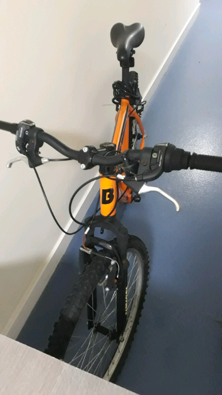 barracuda draco 100